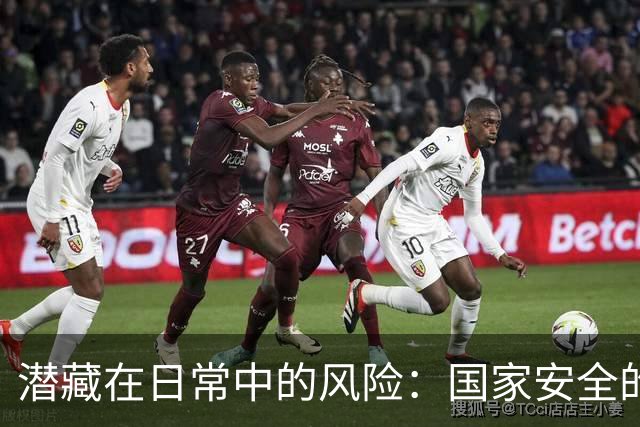 潜藏在日常中的风险：国家安全的新威胁